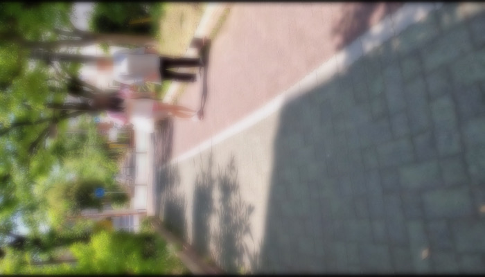 nenichi-gomidashi151-001